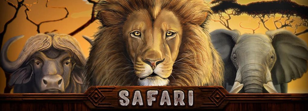 Head Out on Safari with a Roaring Good Slot Game